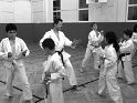 Dojo 2013-46